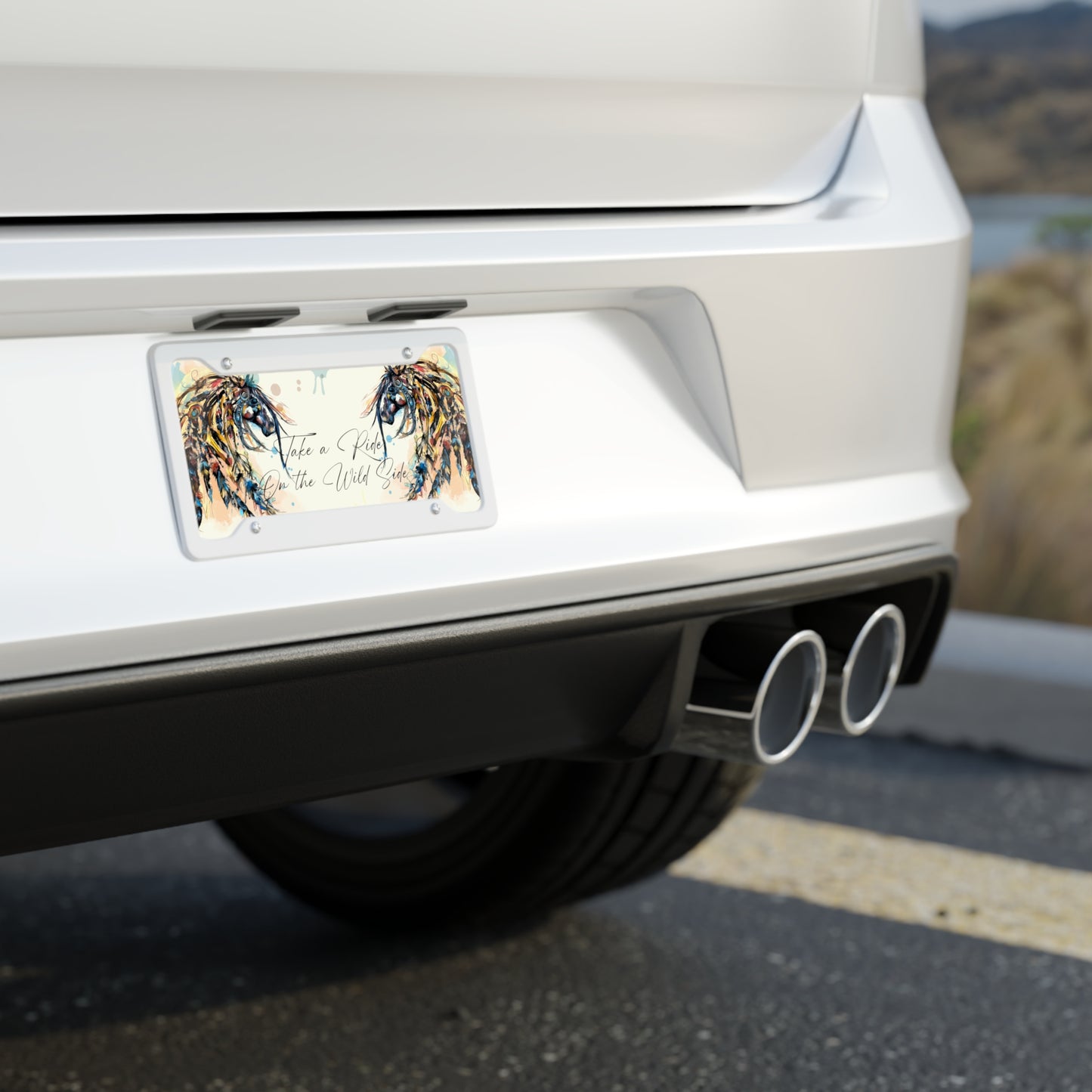 Indian Feather Horse Art License Plate