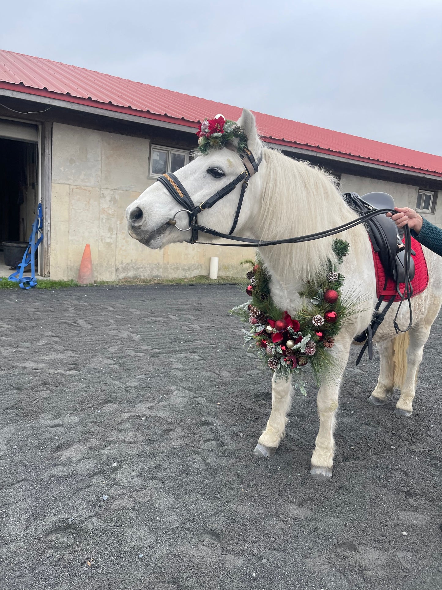 Horse Neck Garland - Horse Photography Prop - Rustic Wedding Decor - Horse Maternity Shoot - Equine Photography Garland - Bridal Photography