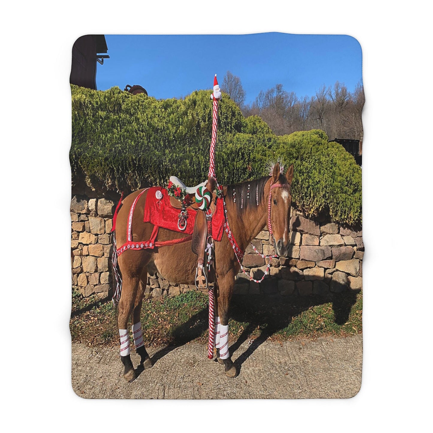 CUSTOM Your Horse/Dog/Cat/Pets Picture and Name on Sherpa Fleece Blanket - Horse Lovers Gift