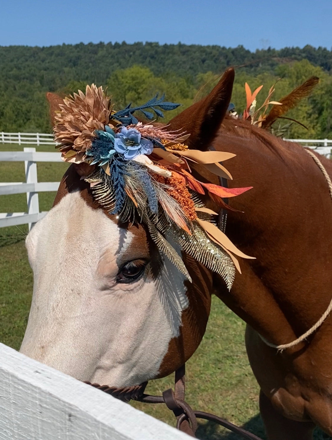 Horse Flower Crown - Horse Photography Prop - Rustic Wedding Decor - Horse Maternity Shoot - Equine Photography Garland - Bridal Photography (Copy)