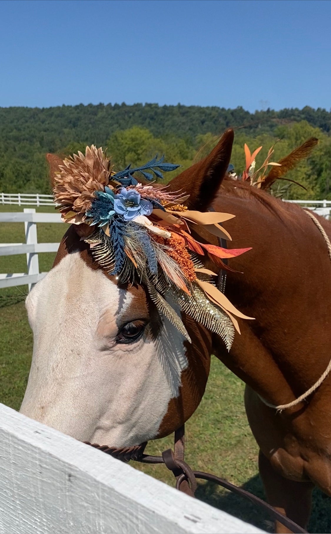 Horse Flower Crown - Horse Photography Prop - Rustic Wedding Decor - Horse Maternity Shoot - Equine Photography Garland - Bridal Photography