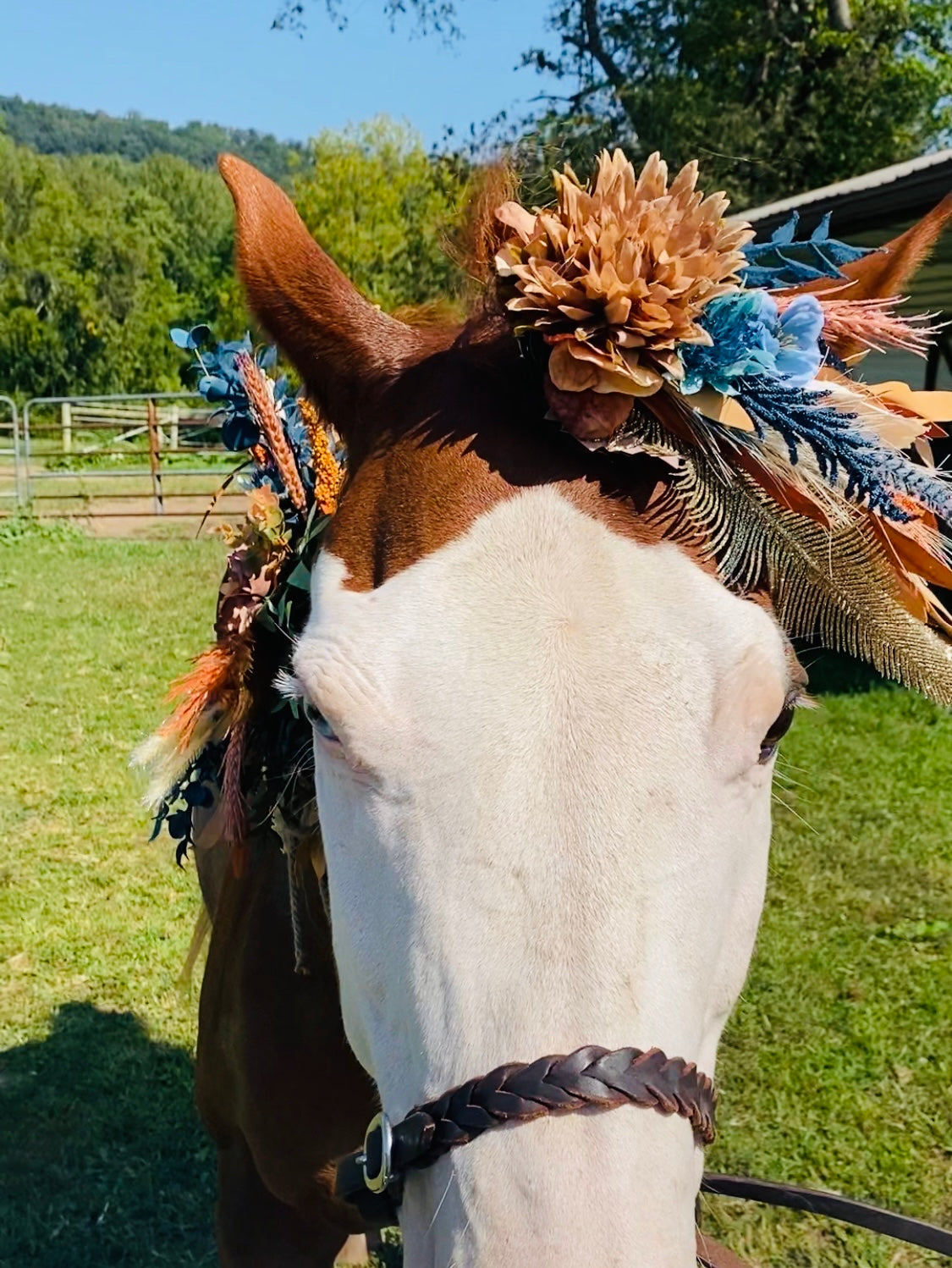 Horse Flower Crown - Horse Photography Prop - Rustic Wedding Decor - Horse Maternity Shoot - Equine Photography Garland - Bridal Photography (Copy)