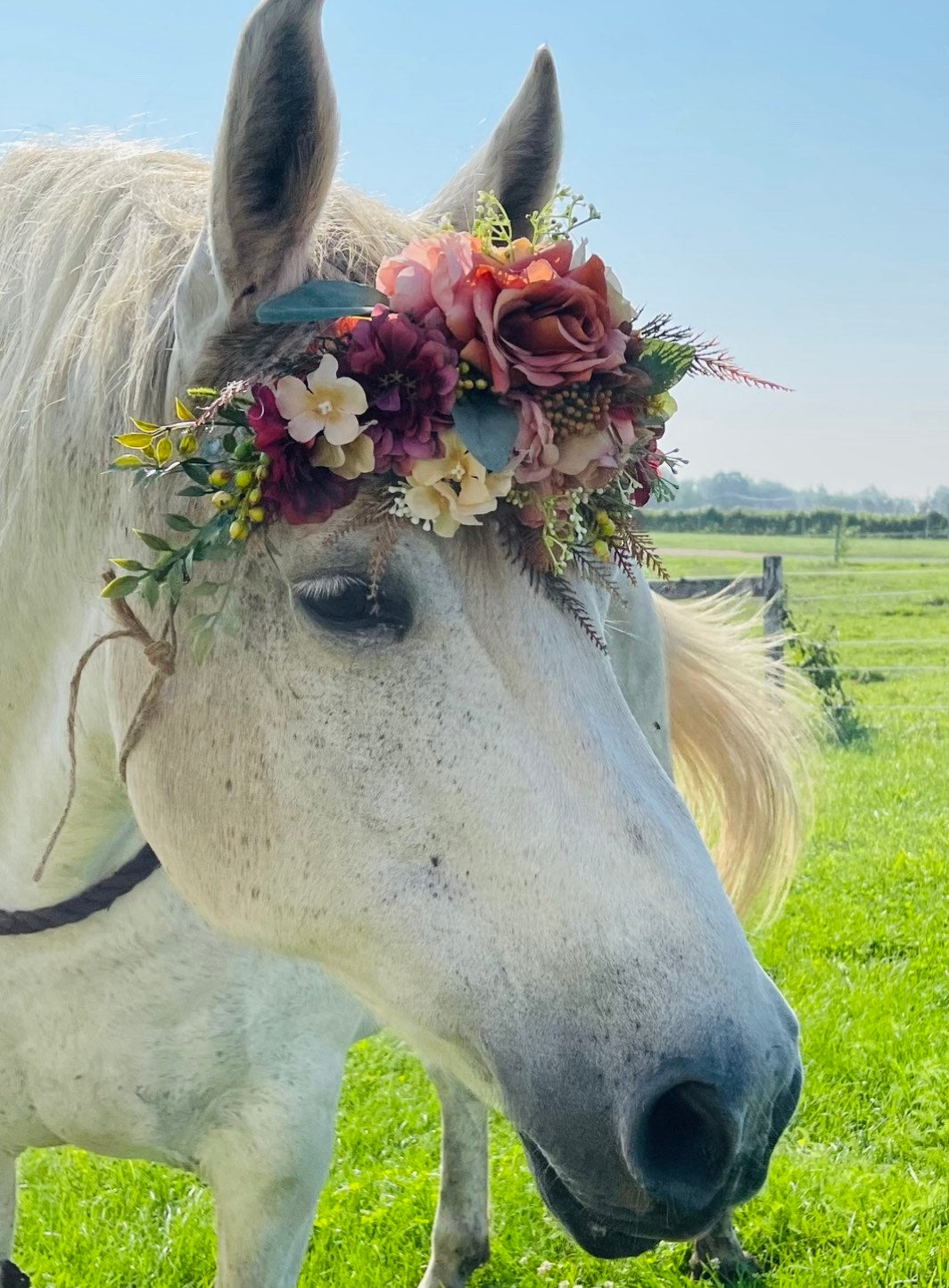 Horse Flower Crown - Horse Photography Prop - Rustic Wedding Decor - Horse Maternity Shoot - Equine Photography Garland - Bridal Photography (Copy)