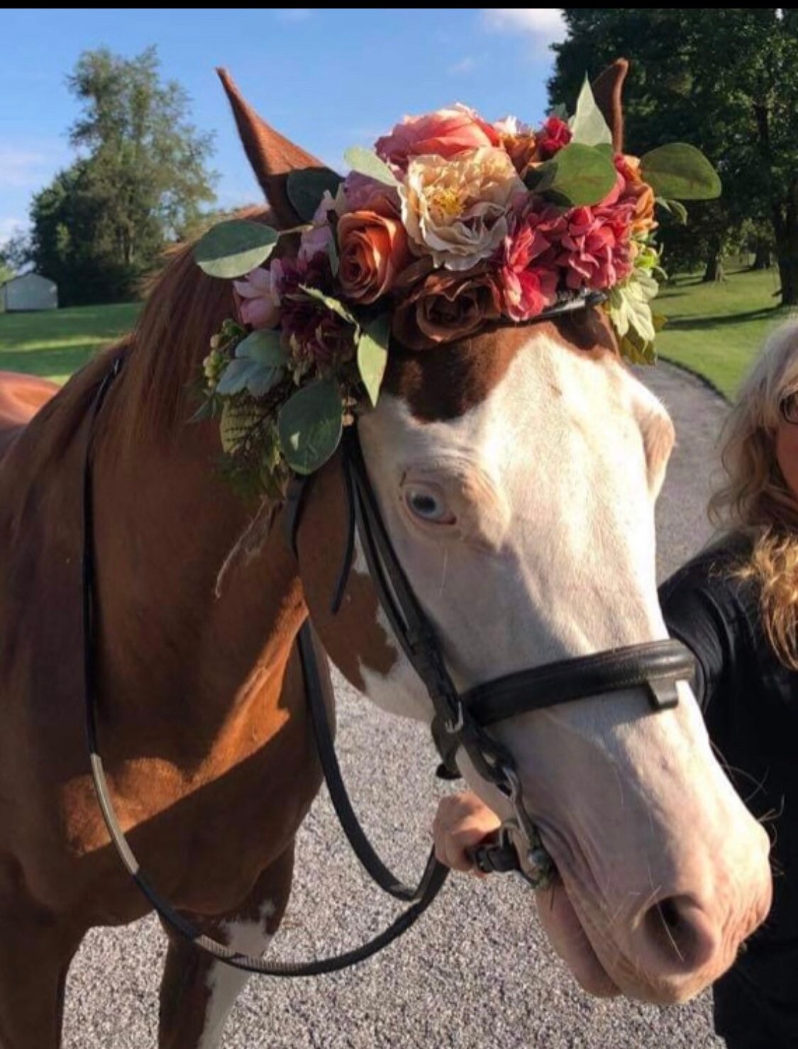 Horse Flower Crown - Horse Photography Prop - Rustic Wedding Decor - Horse Maternity Shoot - Equine Photography Garland - Bridal Photography (Copy)