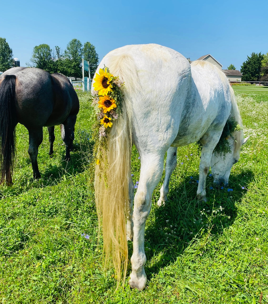 Horse Mini Flower Crown - Horse Photography Prop - Rustic Wedding Decor - Horse Maternity Shoot - Equine Photography Garland - Bridal Photography