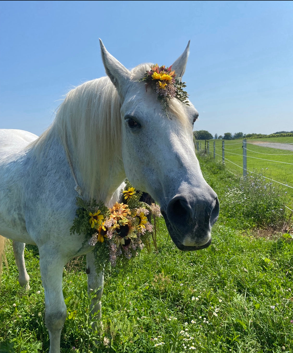 Horse Mini Flower Crown - Horse Photography Prop - Rustic Wedding Decor - Horse Maternity Shoot - Equine Photography Garland - Bridal Photography