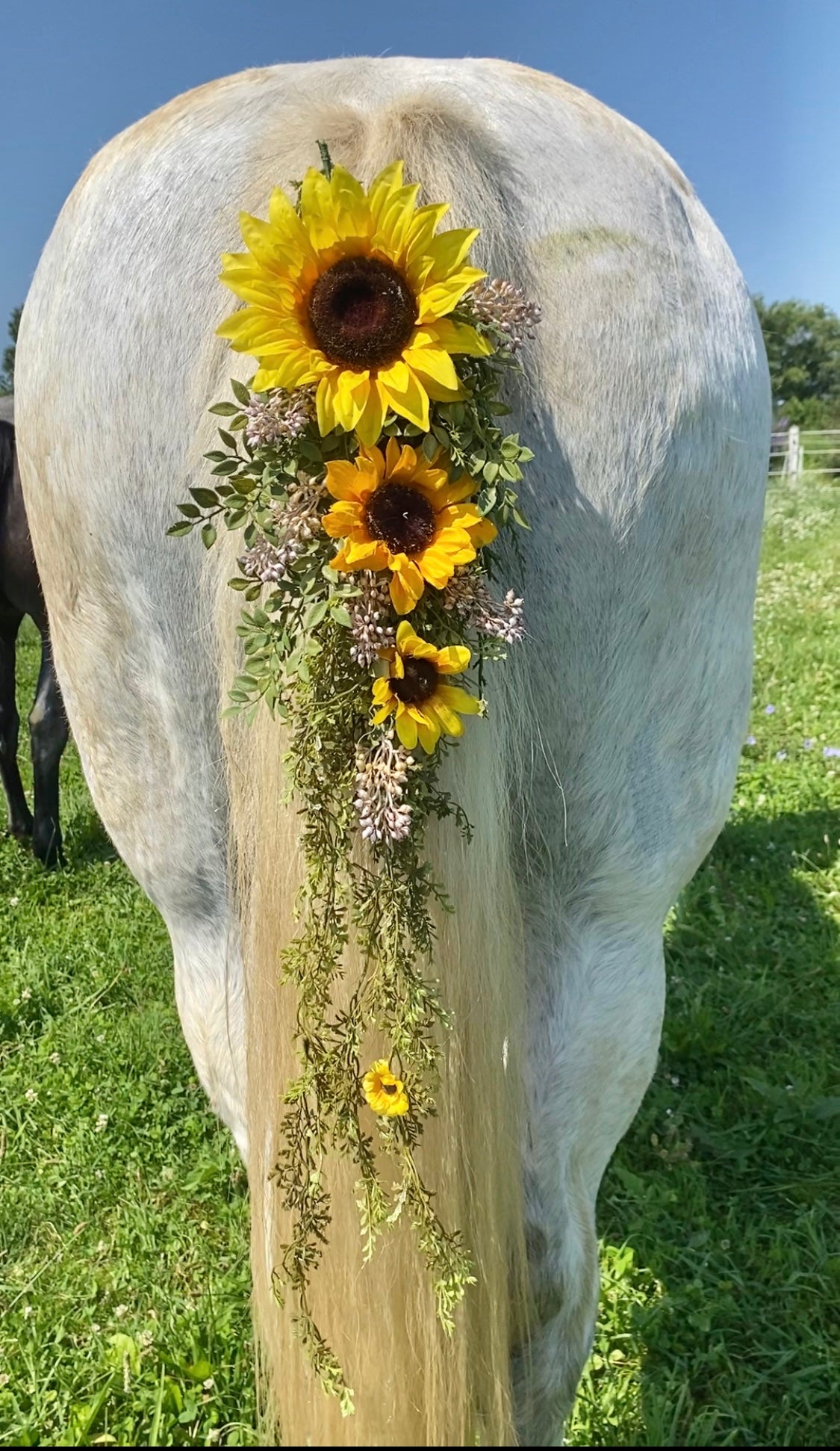 Horse Flower Crown - Horse Photography Prop - Rustic Wedding Decor - Horse Maternity Shoot - Equine Photography Garland - Bridal Photography