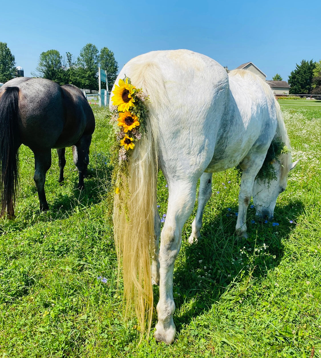 Horse Flower Crown - Horse Photography Prop - Rustic Wedding Decor - Horse Maternity Shoot - Equine Photography Garland - Bridal Photography (Copy)