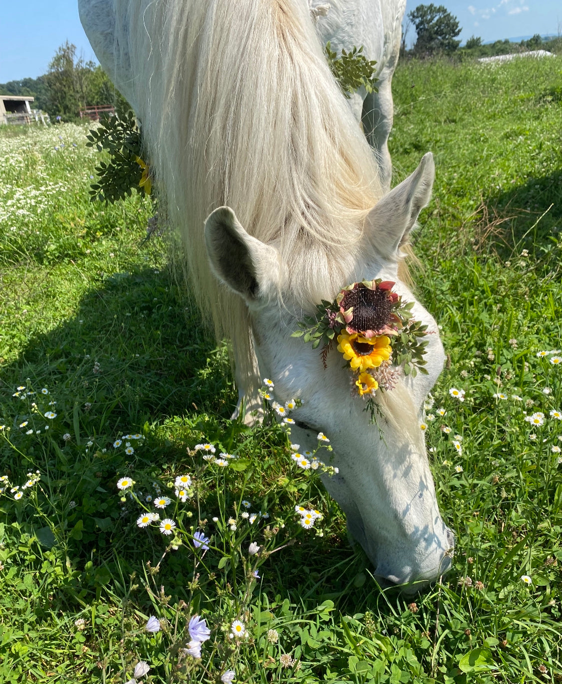 Horse Flower Crown - Horse Photography Prop - Rustic Wedding Decor - Horse Maternity Shoot - Equine Photography Garland - Bridal Photography (Copy)