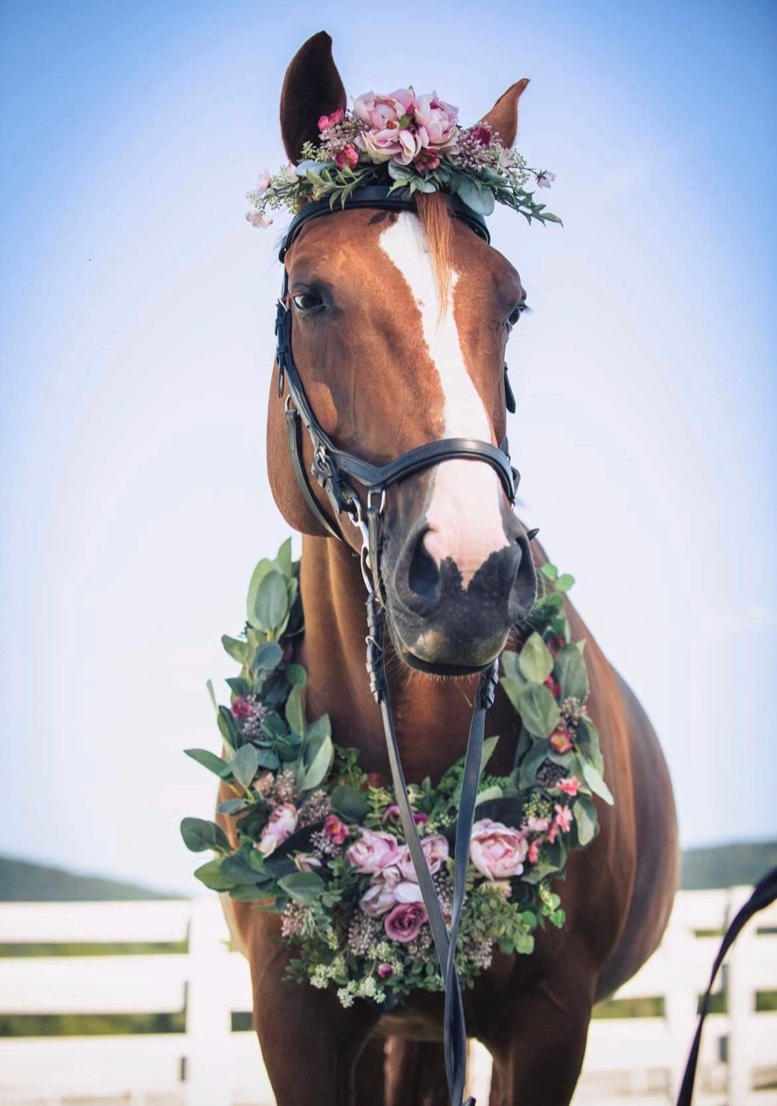 Horse Neck Garland - Horse Photography Prop - Rustic Wedding Decor - Horse Maternity Shoot - Equine Photography Garland - Bridal Photography