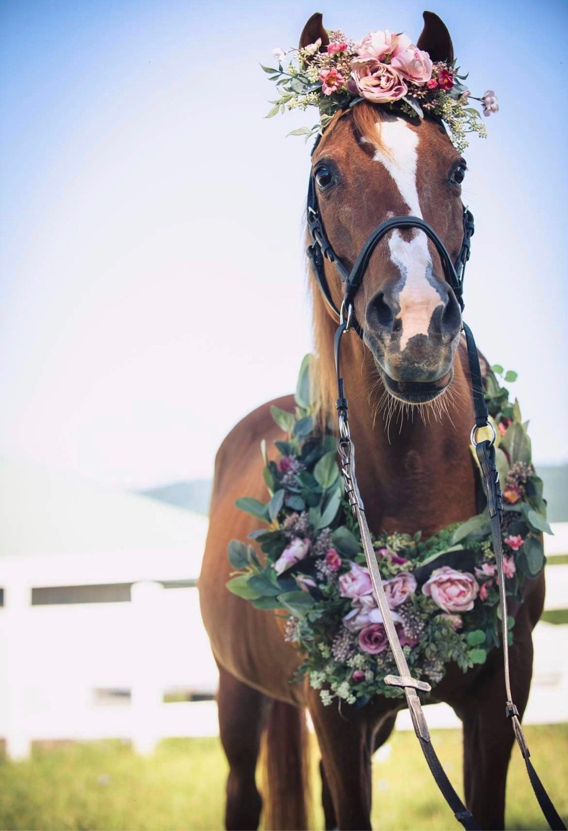 Horse Flower Crown - Horse Photography Prop - Rustic Wedding Decor - Horse Maternity Shoot - Equine Photography Garland - Bridal Photography