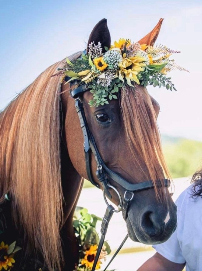 Horse Flower Crown - Horse Photography Prop - Rustic Wedding Decor - Horse Maternity Shoot - Equine Photography Garland - Bridal Photography